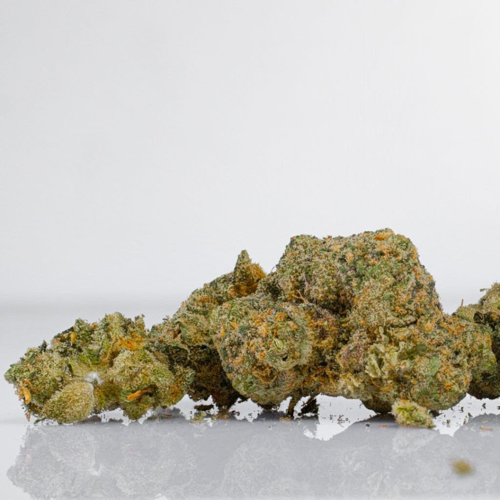 Rainbow Sherbert 11 RS11 Cannabis Strain | Darwin Farms
