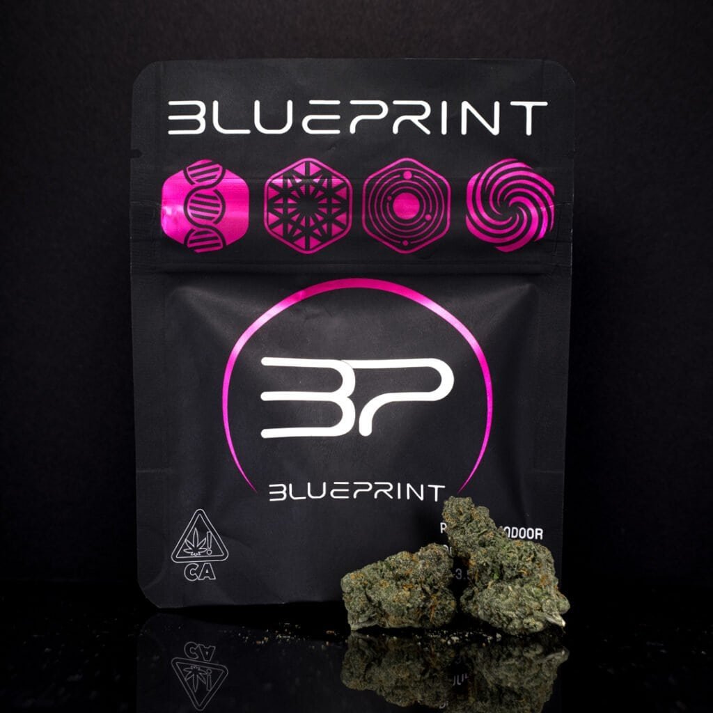 Dr Freeze Cannabis Strain | Blueprint