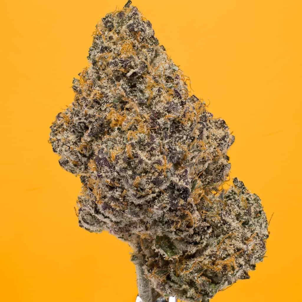 Orange Creamsicle Cannabis Strain | PacMenDC