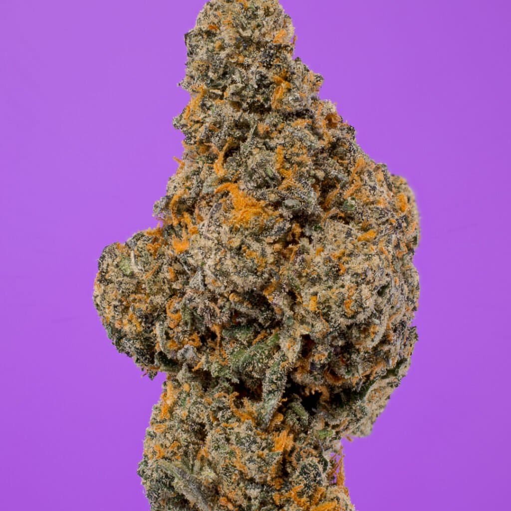 Rainbow Sherbert x Ether Cannabis Strain | PacMen