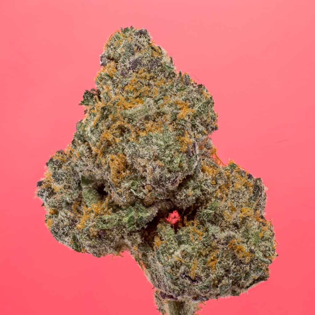 Apple Fritter Cannabis Strain | PacMenDC
