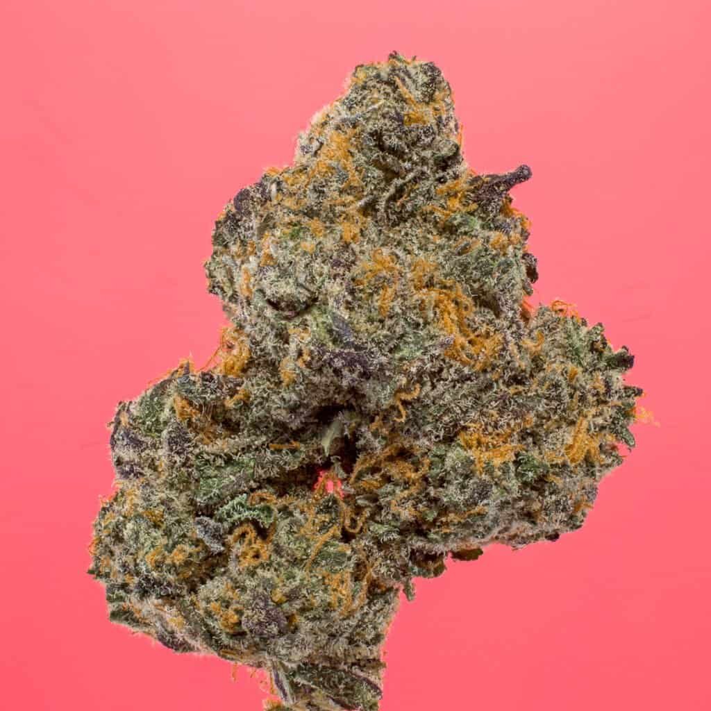 Apple Fritter Cannabis Strain | PacMenDC