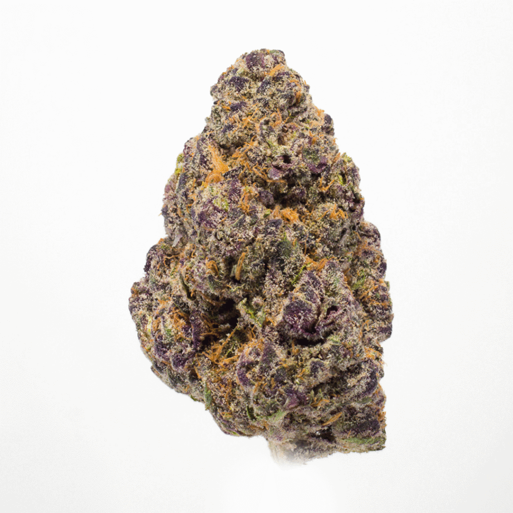 Sunset Sherb x Runtz Cannabis Strain | Darwin Farms