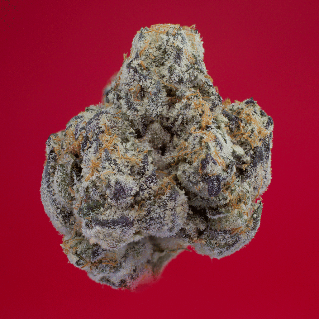 Facemints #4 Cannabis Strain | Pure & Proper Co