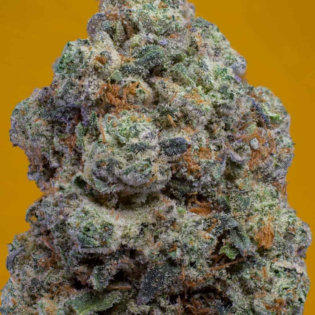Banana Pancakes Cannabis Strain | official.grla