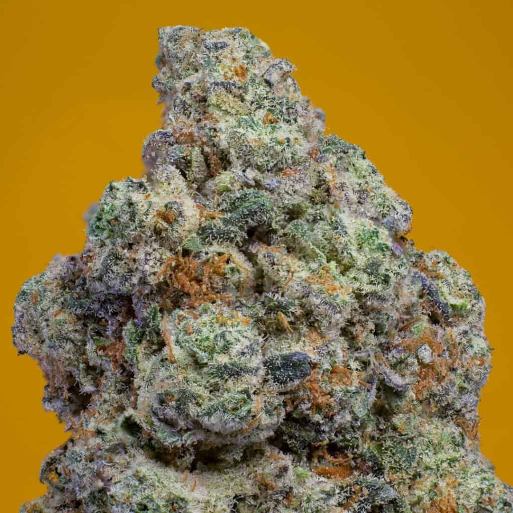 Banana Pancakes Cannabis Strain | official.grla