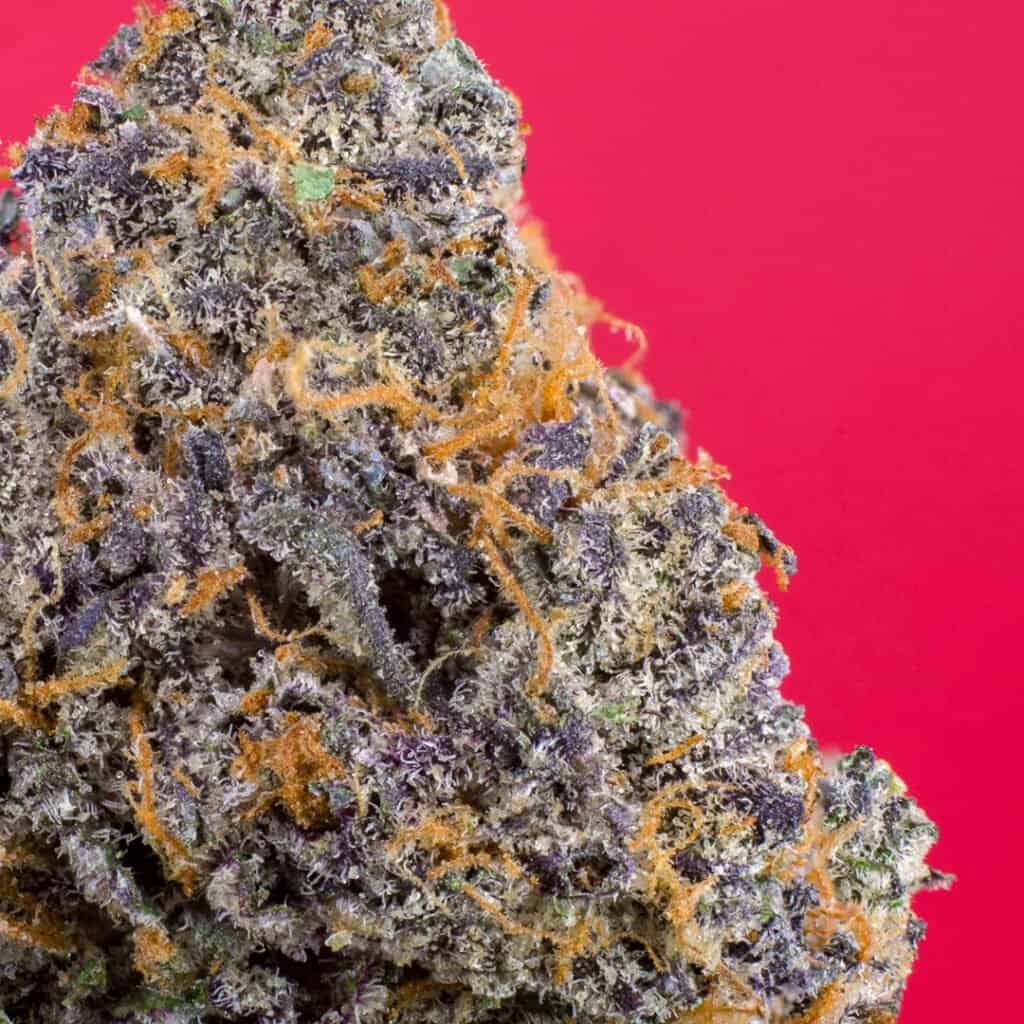 Cherry Drip Cannabis Strain | Deep East