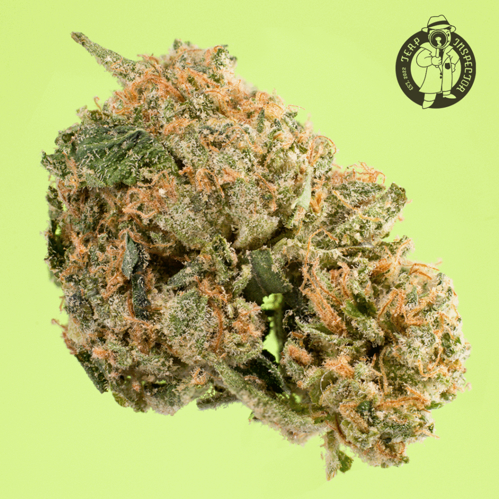 Original Z (Zkittlez) Cannabis Strain | Doja