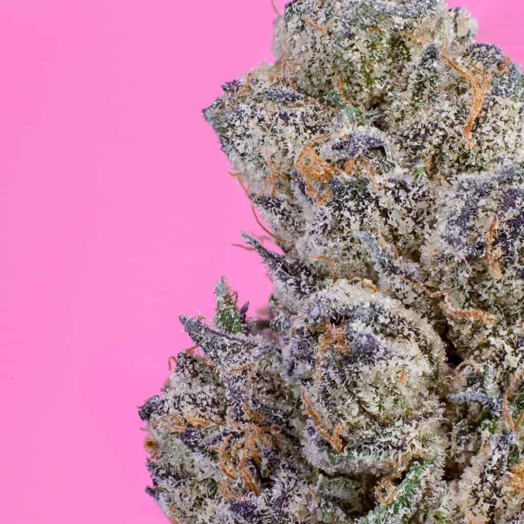 Sour Candy Cannabis Strain | Doja