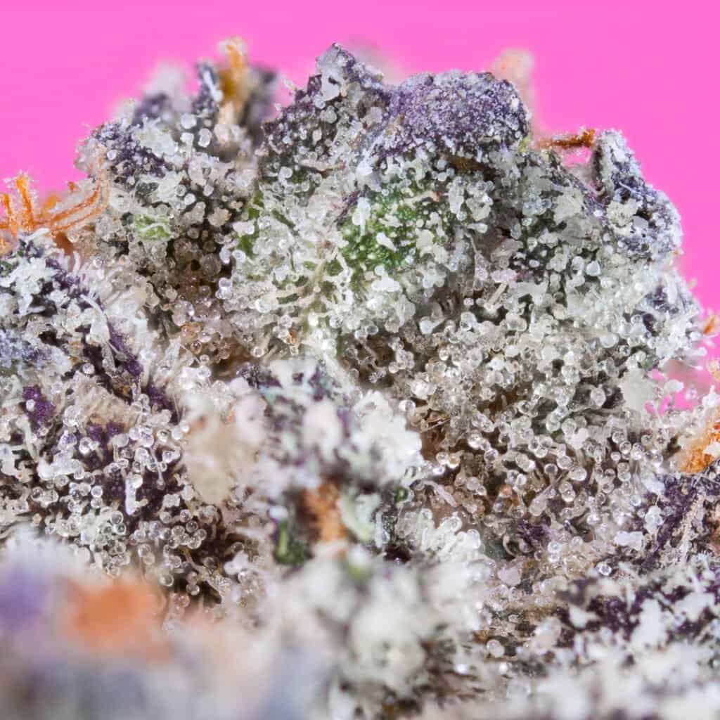 Sour Candy Cannabis Strain | Doja