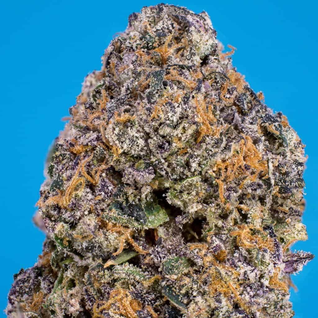 Znackz Strain | Doja