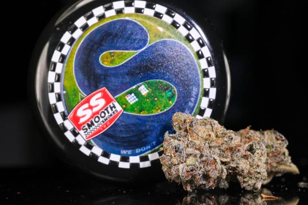 Richmond Raceway Cannabis Strain | Jonah Grows