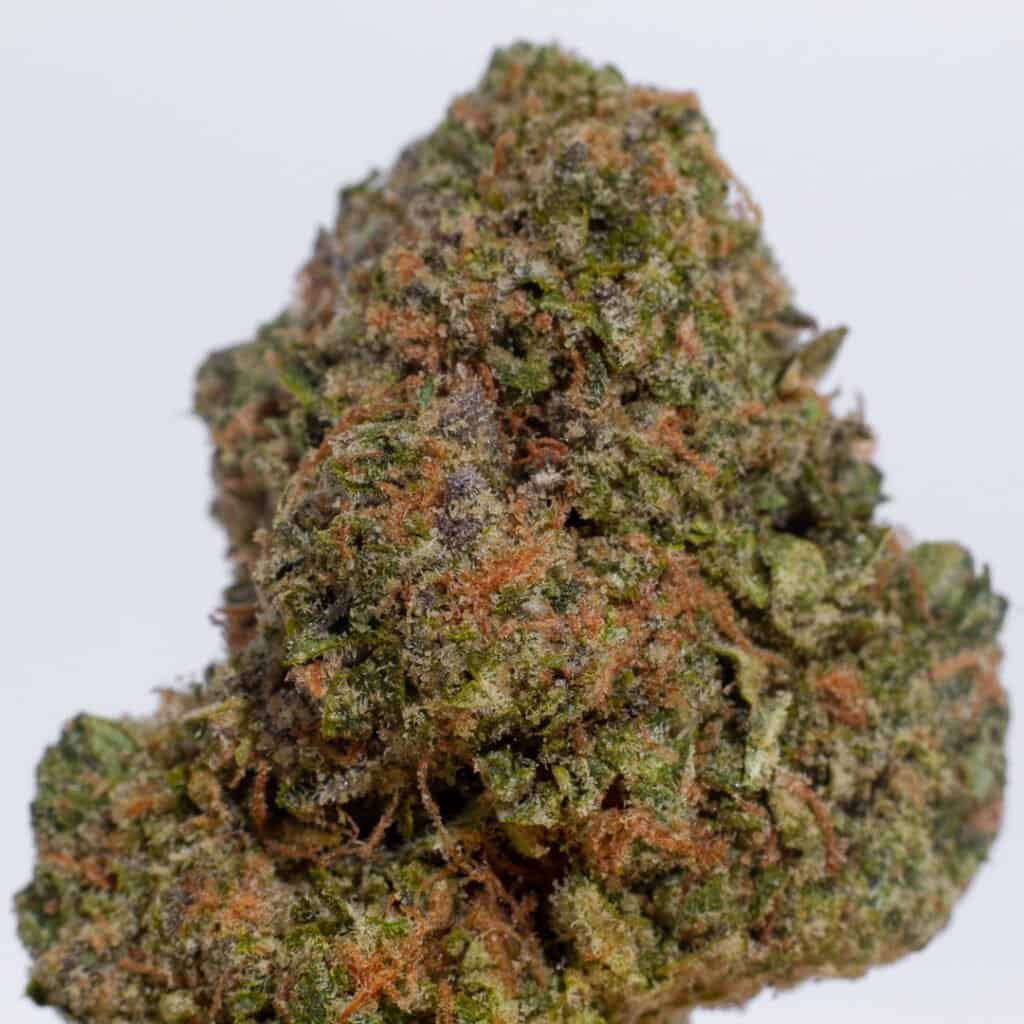 Rainbow Belts Cannabis Strain | Burning Rope Pharms