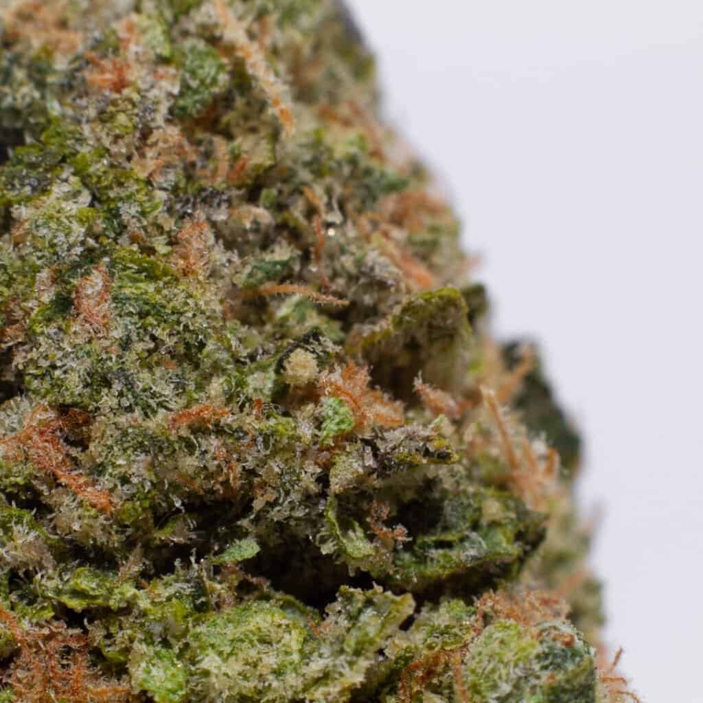 Rainbow Belts Cannabis Strain | Burning Rope Pharms