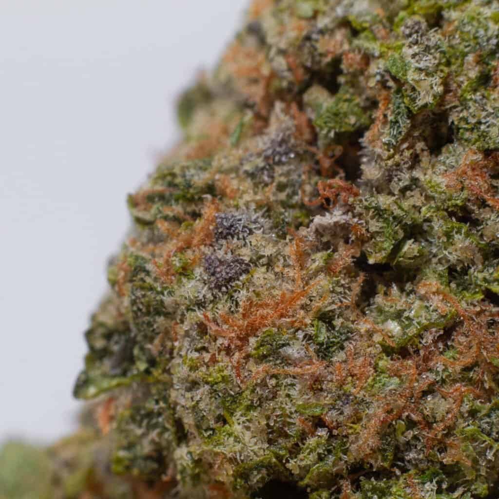 Rainbow Belts Cannabis Strain | Burning Rope Pharms