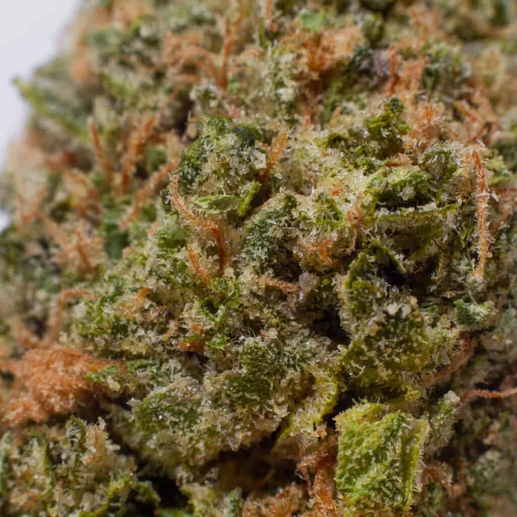 Rainbow Belts Cannabis Strain | Burning Rope Pharms