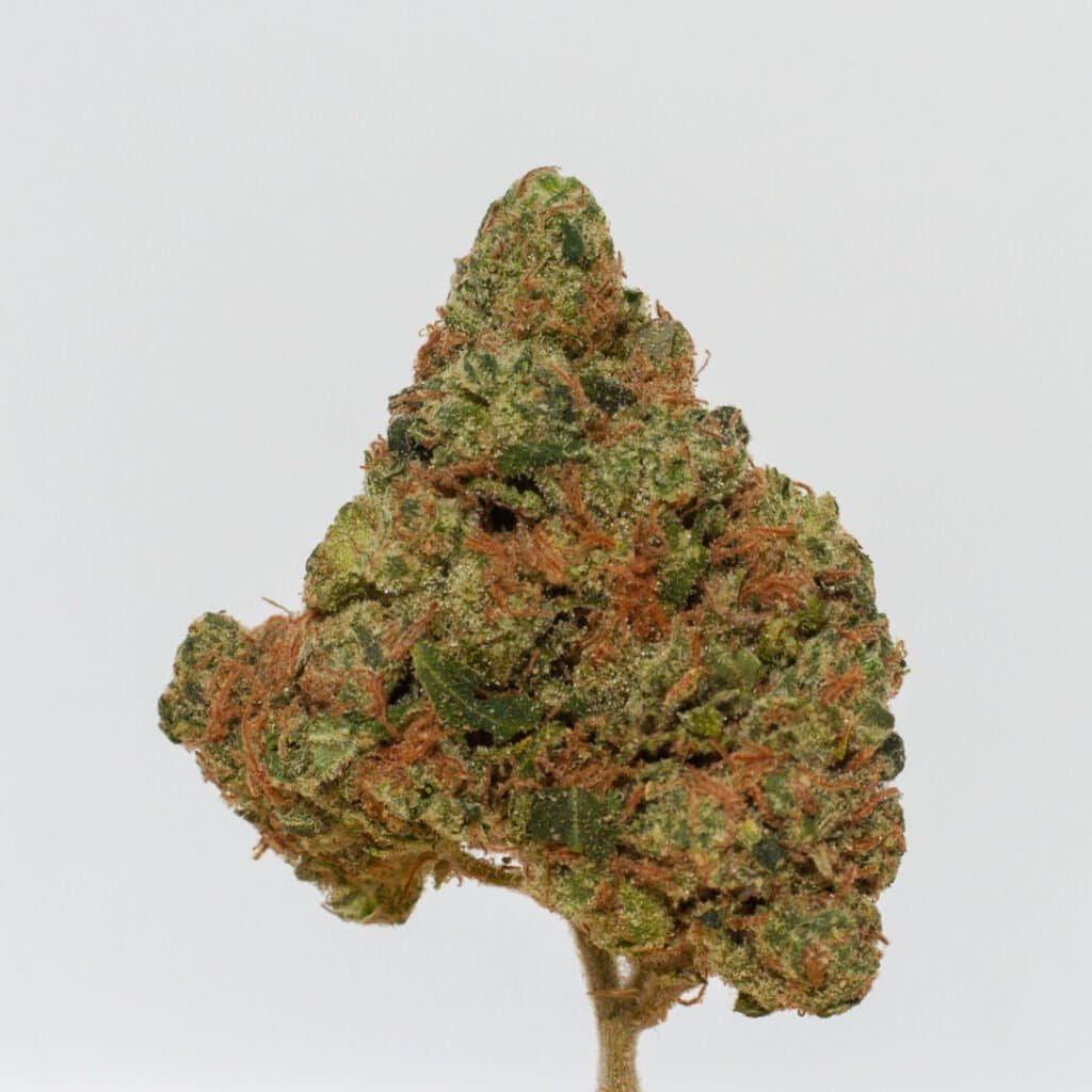 Sour Trilly Cannabis Strain | Burning Rope Pharms